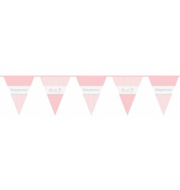 Vlaggenlijn Babyshower Meisje (10 m)