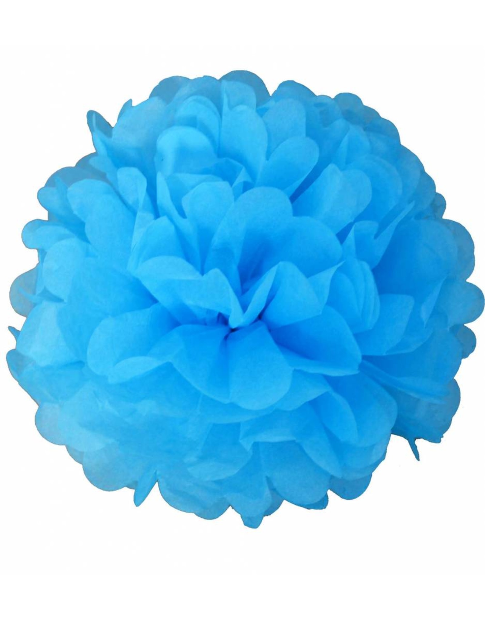 Pompoms Diy Babyblauw (25 + 35 cm)