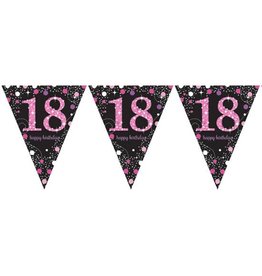 Vlaggenlijn Sparkling Pink 18 jaar (4 m)