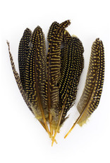 Veren Parelhoen 15/20 cm Geel (10 stuks)