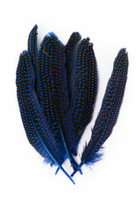 Veren Parelhoen 15/20 cm Blauw (10 stuks)