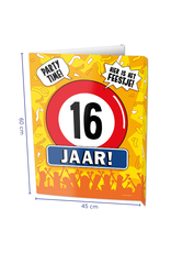 Window Signs - 16  Jaar