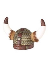 Viking Helm met Vacht