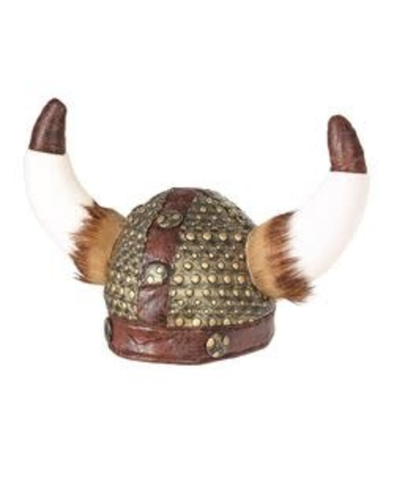 Viking Helm met Vacht