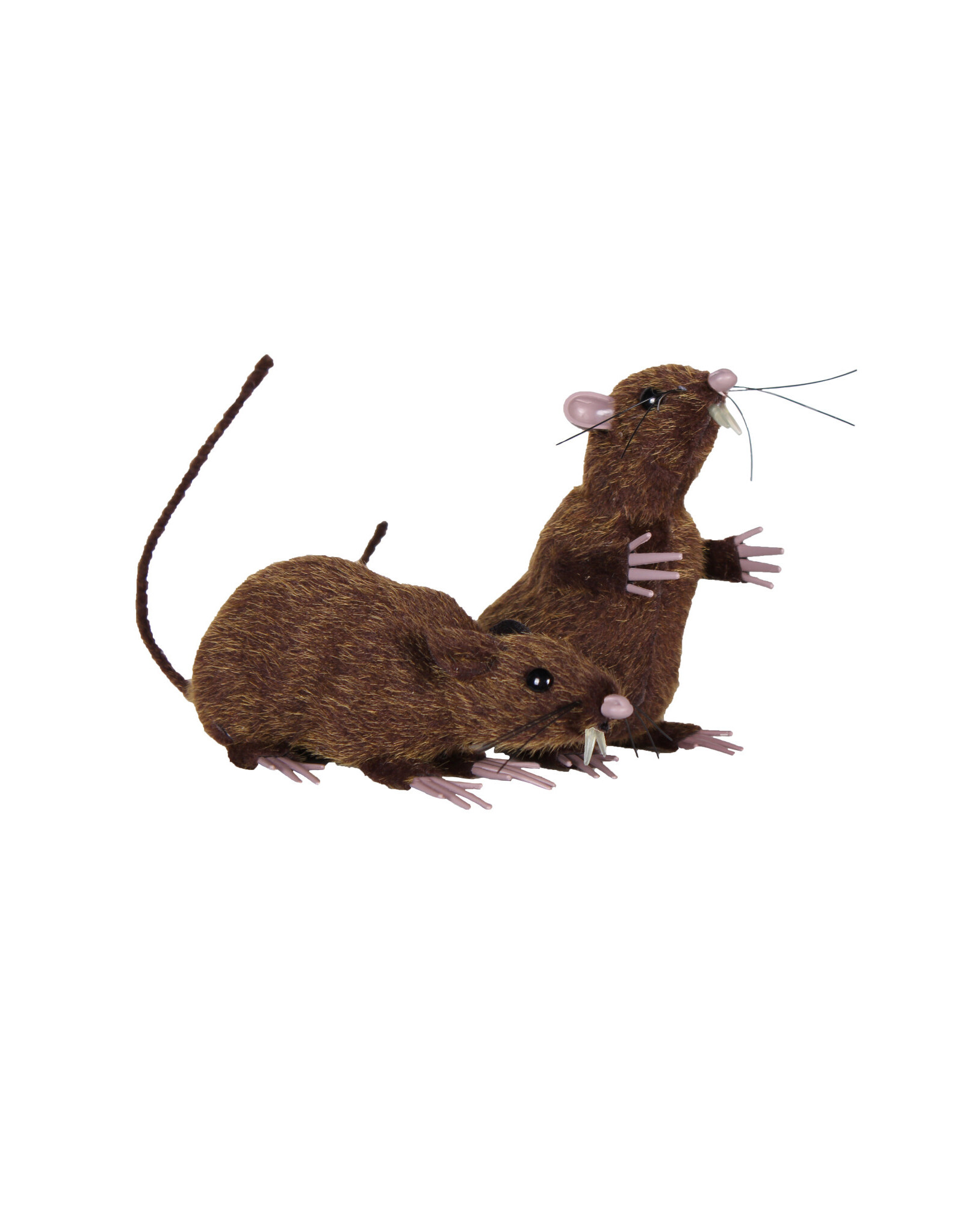Set bruine ratten 1 zit en 1 staat, Bruin