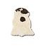 Het Landhuys Curly Sheepskin Longhair Brown Heads