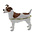 The Juliana Collection, Jack Russel Terrier