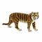 The Juliana Collection, Tiger