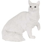 Studio Collection Angora Cat