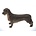 Leonardo Collection Dachshund