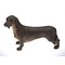 Leonardo Collection Tekkel (Dachshund)