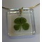 Carré de Trèfles 4 Leaf Clover Necklace (Square)