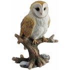 Studio Collection Barn Owl  on branch