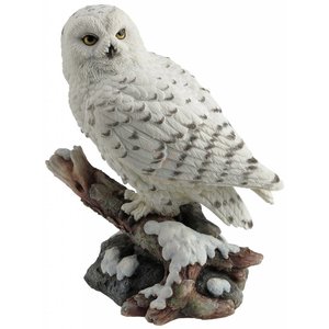 Studio Collection Snow owl  on branch