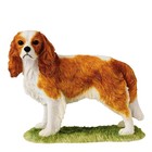 Border Fine Arts Cavelier King Charles Spaniel