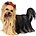 Studio Collection Yorkshire Terrier