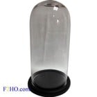 Willow Hall Collection Glass Dome Bell Jar