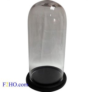 Willow Hall Collection Glass Dome Bell Jar