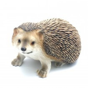 The Juliana Collection, Hedgehog Standing