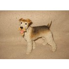 Castagna Fox Terrier