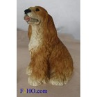 Castagna Amercan Cocker Spaniel