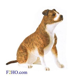 Country Artists Staffordshire Bull Terrier (Brindle)