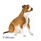 Country Artists Staffordshire Bull Terrier (Brindle)