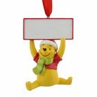 Disney Winnie The Pooh  (HO)