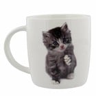 The Juliana Collection, Mug Cat 'Purrrfect!'