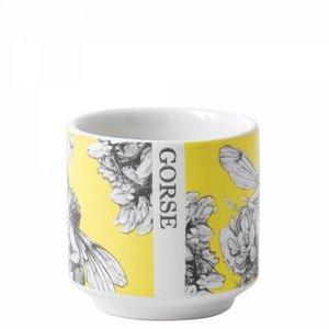 Flower Fairies Egg Cup (Set 2-Gorse - Gaspeldoorn)