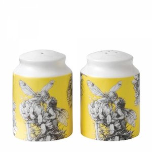Flower Fairies Salt & Pepper (Set 2-Gorse - Gaspeldoorn)