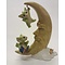 Pocket Dragons Wizzard Moon (Collectors Special)
