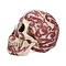 Anne Stokes Oriental Skull