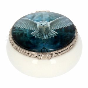 Anne Stokes Trinket Box Awaken Your Magic