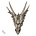 Studio Collection The Last DragonSkull