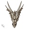 Studio Collection The Last DragonSkull