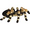 Studio Collection Tarantula - Copy