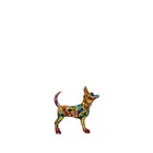 Barcino Design Chihuahua (Carnival)