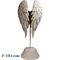 Willow Hall Collection Angel Wings