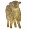 Border Fine Arts Highland Calf (Gold)