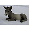 Castagna Donkey Lying Grey