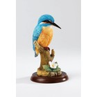 Border Fine Arts IJsvogel