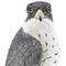 Border Fine Arts Peregrine Falcon
