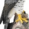 Border Fine Arts Peregrine Falcon