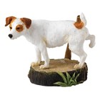 Border Fine Arts Jack Russell