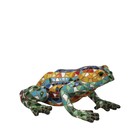 Barcino Design Frog