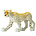 Barcino Design Cheetah  Mosaic effect