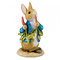 Peter Rabbit (Beatrix Potter) by Border Peter Ate Some Radishes