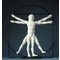 Mouseion The Vitruvian man (ca. 1490) White - Large