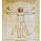 Mouseion De man van Vitruvius (ca. 1490) Wit - Large